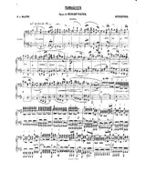 Tannhauser. Overture (Arrangement for Piano Four Hands), WWV 70 by